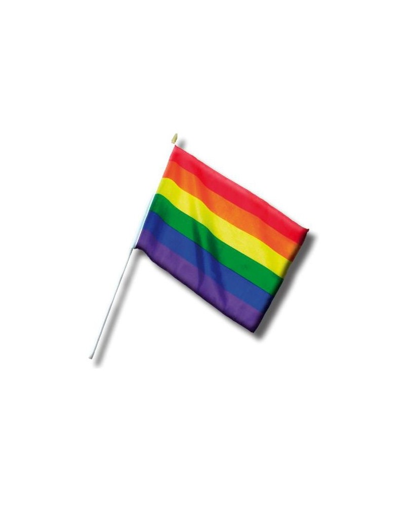 Mini Drapeau Rainbow 20 x 30cm sur la Boutique du Hard