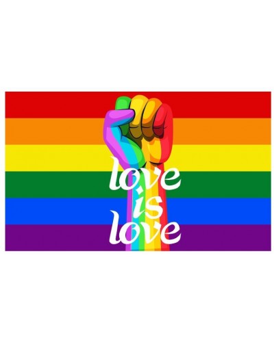 Drapeau Rainbow Love is Love 90 x 150cm sur la Boutique du Hard