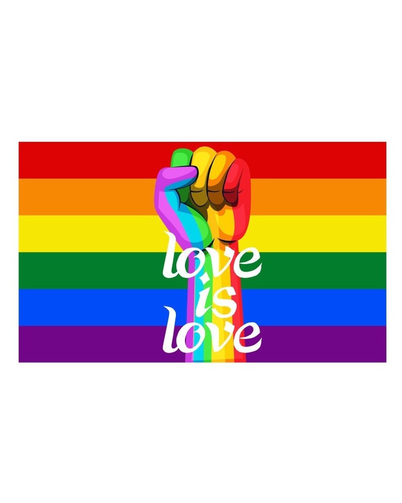 Drapeau Rainbow Love is Love 90 x 150cm sur la Boutique du Hard