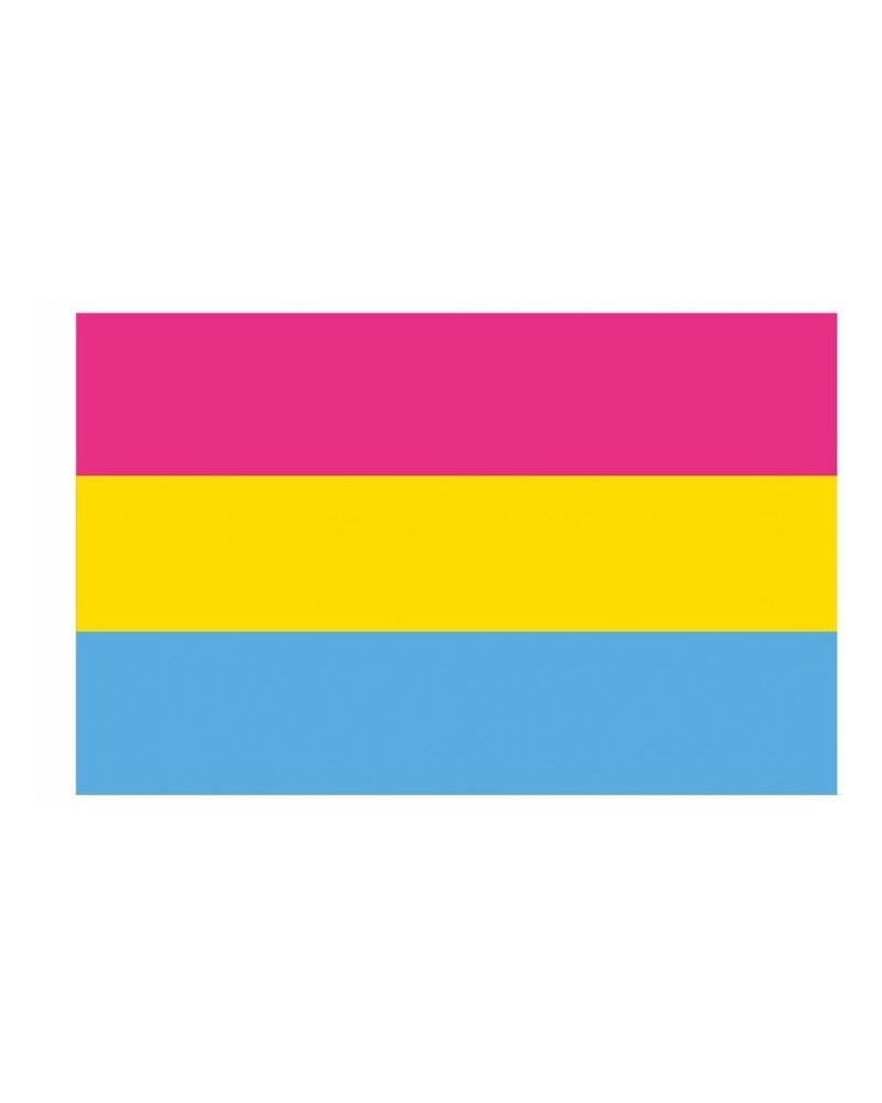 Drapeau Pansexuel 90 x 150cm sur la Boutique du Hard