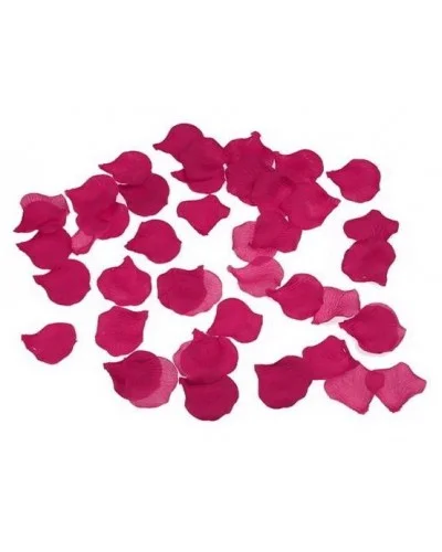 Fausses Pétales de Fleur x100 Fuchsia sur la Boutique du Hard