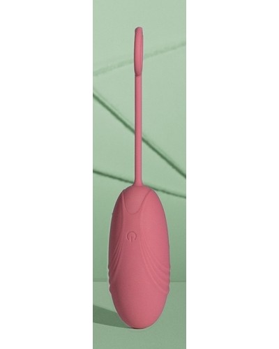 Oeuf vibrant sans fil Egg Soft Vibrator 8 x 3.3 cm Rose sextoys et accessoires sur La Boutique du Hard