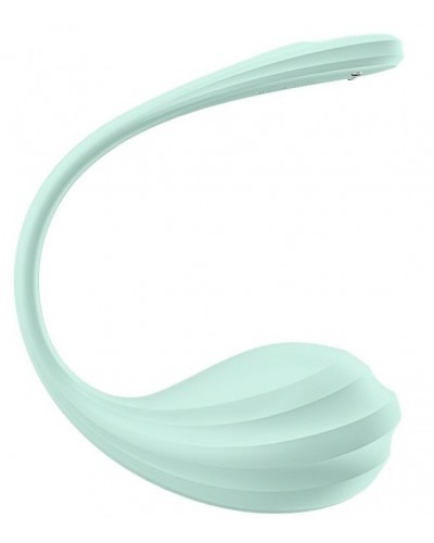 Vibromasseur Connecté Point G Smooth Petal 8.5 x 3.8cm Vert Menthe sextoys et accessoires sur La Boutique du Hard