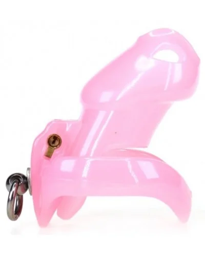 Cage de chasteté Stop This 9 x 3cm Rose sextoys et accessoires sur La Boutique du Hard