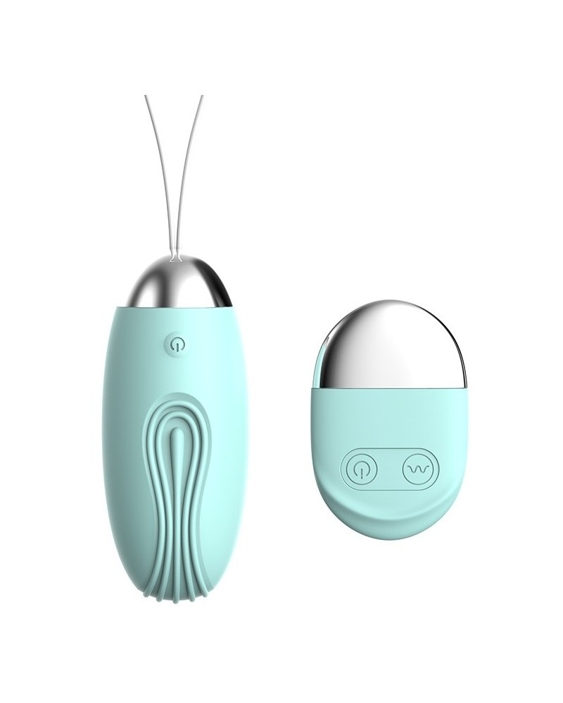 Oeuf vibrant sans fil Wholy 8 x 3.2 cm Turquoise  sextoys et accessoires sur La Boutique du Hard