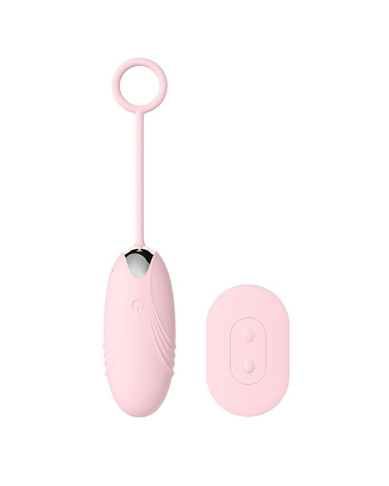 Oeuf Vibrant Sans Fil Pinkless 8 x 3cm sextoys et accessoires sur La Boutique du Hard