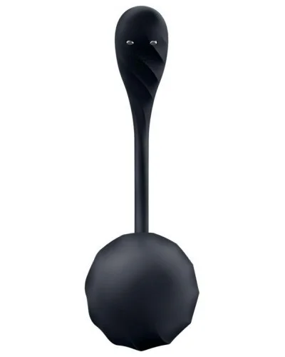 Vibromasseur Connecté Point G Ribbed Petal 8.5 x 3.8cm Noir sextoys et accessoires sur La Boutique du Hard