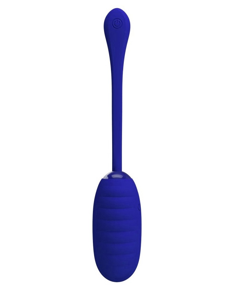 Oeuf Vibrant Kirk 8 x 3.5cm Indigo sextoys et accessoires sur La Boutique du Hard