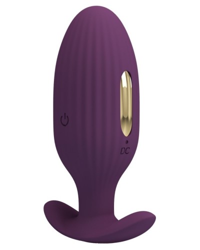 Plug Vibrant et Électro Connecté Jefferson 8 x 3.3cm sextoys et accessoires sur La Boutique du Hard