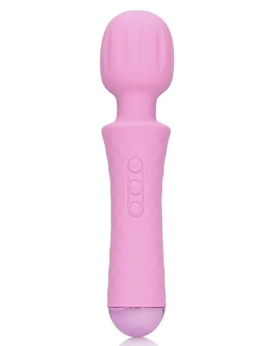 Petite wand vibrante sextoys et accessoires sur La Boutique du Hard