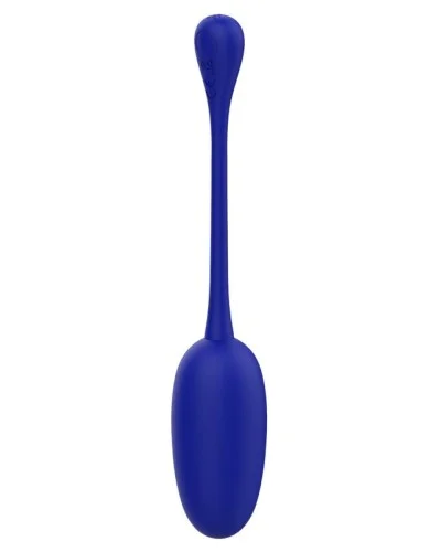 Oeuf Vibrant Knucker 7 x 3.3cm Indigo sextoys et accessoires sur La Boutique du Hard