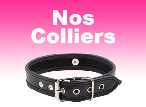 Colliers & éléments de guidage
